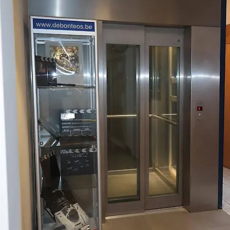De Bonte Os & Tower Otel 2*