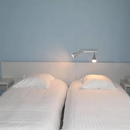 De Bonte Os & Tower Otel