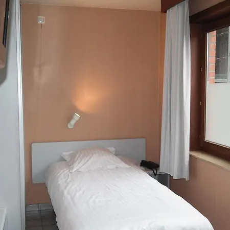 De Bonte Os & Tower Otel 2*