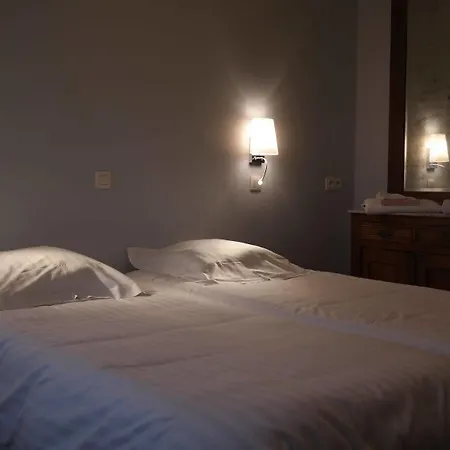 De Bonte Os & Tower Otel